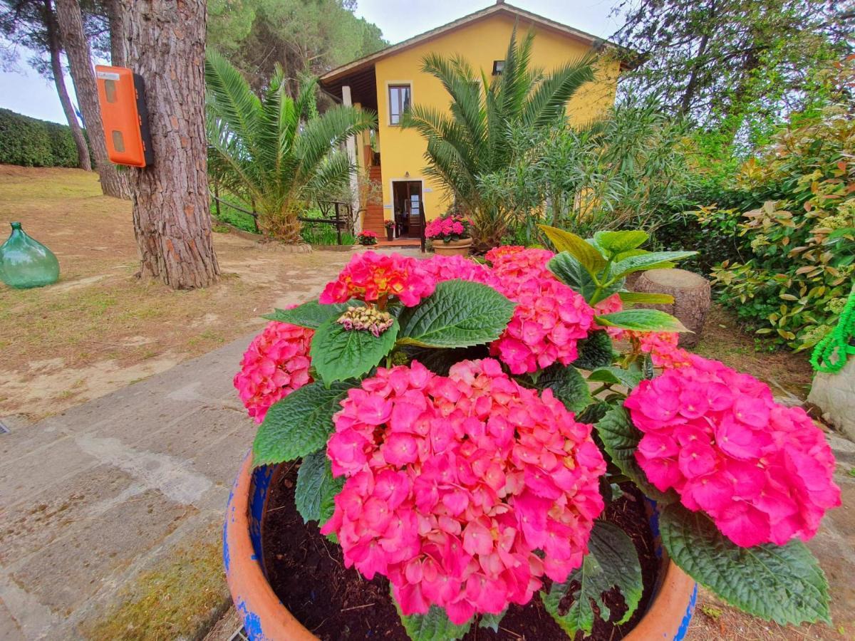 Toscana Holiday Village Монтополи-ин-Валь-д'Арно Экстерьер фото